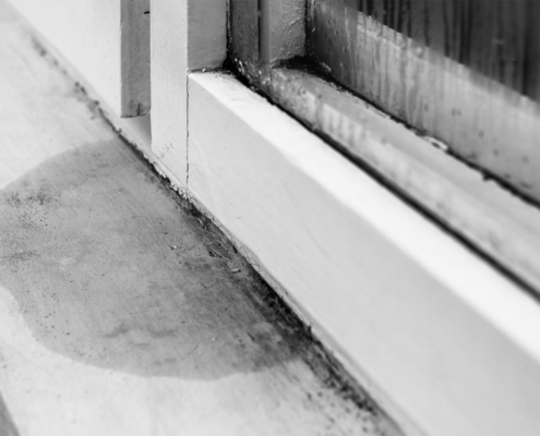 Moisture Testing